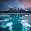 자연의 꿈 이미지