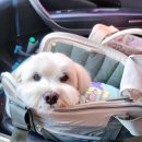 구암동372 이미지