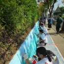 선일초등학교 이미지