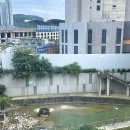 어썸프룻 | [아웃백 펜타포트점] 직원식사 후기와 이용 꿀팁!