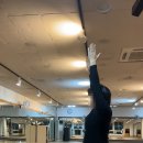 가곡동유심천 이미지