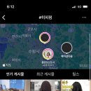 히피히피