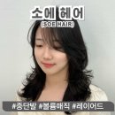 대화약품(주) | 광주 유동 볼륨매직 잘하는 곳, 소에헤어 중단발 볼륨매직 시술 상세 후기!