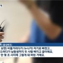 폭우로 열린 맨홀뚜껑, 남매 순식간에 빠져 실종…수색 난항 이미지