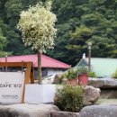 카페512 - 제주시 연삼로 512 | 카페512