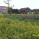 제주민속촌 이미지