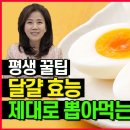 매일 달걀 먹는 평생 꿀팁 달걀 효능 제대로 뽑아먹는 법 이미지