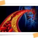 오늘부터 운동PT 이미지