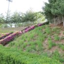 능내근린공원 이미지