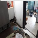 제일건재상회 이미지