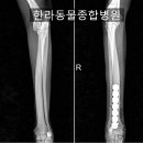 로이종합동물병원 이미지