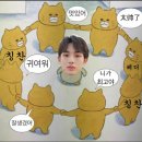 버블버블 네이버블로그