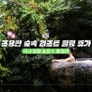 웰에이징클럽 | 국내 숲속 리조트 추천 리스트, 조용한 힐링 여행지 정리