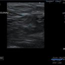 성복동물병원 이미지