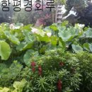 함평경회루