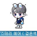 솔리테리 이미지