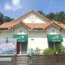 메타펜션101동 이미지