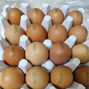 봄빛농장 | 자연이키운계란 찾는다면 🥚 봄빛농장 자연방사 유정란 솔직후기