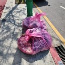 서정세탁소 이미지