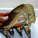 늘행복한약국 이미지