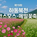 제7회 하동북천코스모스메밀꽃축제 | 🌸 제19회 하동북천 코스모스·메밀꽃 축제/ 정보 총 정리