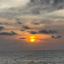 [인도네시아6] 발리 5박 7일 신혼여행 후기_팜투어🌴: sekar jepun spa, melati bali cafe 짐바란 씨푸드...