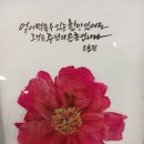 성심요양원 | 청주성심요양원 커트봉사후기입니다 ♡♡성심요양원은 어르신을 가족처럼 모십니다♡♡♡