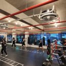 키즈영어복싱pls 이미지