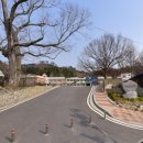 진산면사무소 이미지