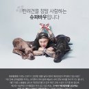 슈퍼바우 이미지