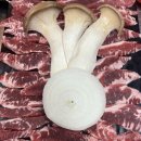 금정역 고기집 일심푸드 숯불구이 방문 후기 고기 맛에 감동