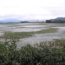 주남저수지 이미지