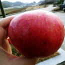 효마루마을 이미지