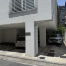 도안동 양식 맛집 비스트로 한양 후기