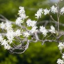 느긋한 시절 이미지