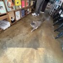 안동풍경호스텔nLIBRARY