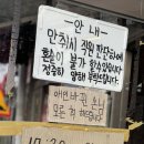 독도인테리어
