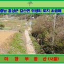 [국도29] 홍성군 취생리 네이버블로그