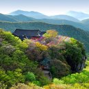 금수강산 이미지