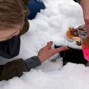 K-BIT, Little Prince 이미지