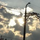 직장인 포크기타 (B) 이미지