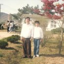 포두중학교 Daum카페