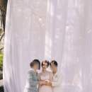 왕왕멍멍 이미지