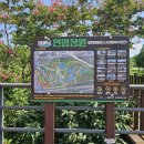 연암ST | 연암정원 통나무 포토존 위치 주차 여름 감성 충전