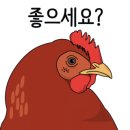 건강필약국 이미지