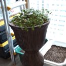 판이농장 이미지