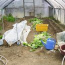 박곡농장 이미지