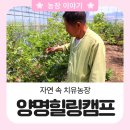 양명농장 이미지