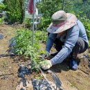 주하농장 이미지