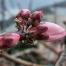 삼화2리 이미지